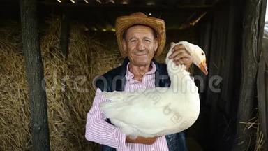 一个戴着草帽的老农夫正抱着一只活白鹅。 干草背景下一个白鹅男人的肖像
